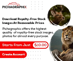 Pichagraphix Photo category