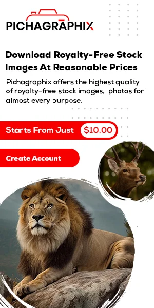 Pichagraphix Photo category 