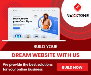 naxxtone Web Development