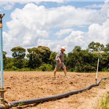 Zimbabwe to Compensate White Farmers for Land Seized 20 Years Ago